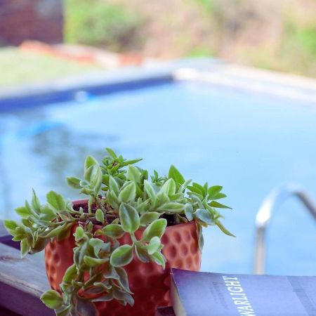 Waterrock Stays The Mango Tree Chalet Πούνε Εξωτερικό φωτογραφία
