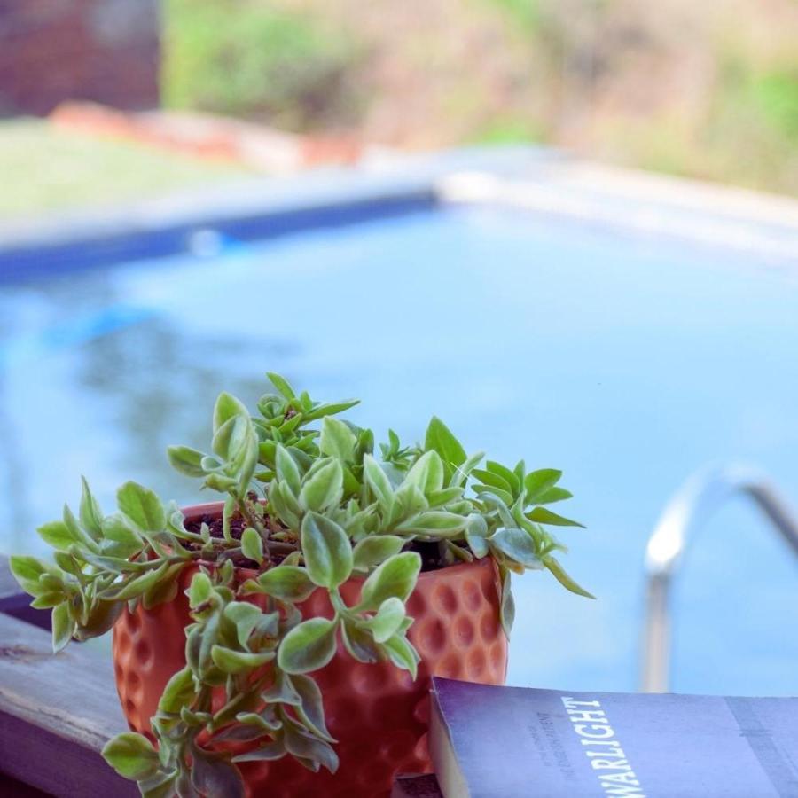 Waterrock Stays The Mango Tree Chalet Πούνε Εξωτερικό φωτογραφία